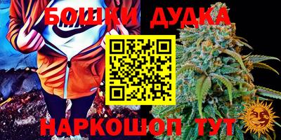 прущие грибы Анапа